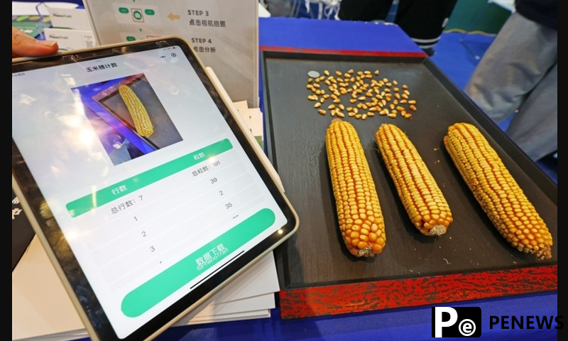 Chinese scientists expand AI in crops breeding to boost yield and improve varieties