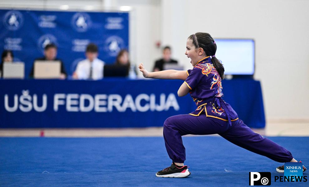 2025 Baltic Wushu (Kung Fu) Championship kicks off in Vilnius, Lithuania