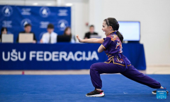 2025 Baltic Wushu (Kung Fu) Championship kicks off in Vilnius, Lithuania