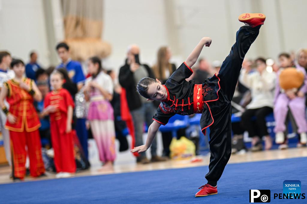 2025 Baltic Wushu (Kung Fu) Championship kicks off in Vilnius, Lithuania