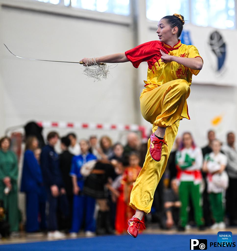 2025 Baltic Wushu (Kung Fu) Championship kicks off in Vilnius, Lithuania