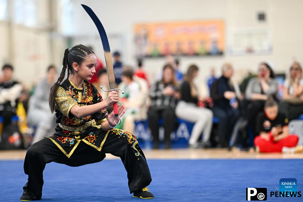 2025 Baltic Wushu (Kung Fu) Championship kicks off in Vilnius, Lithuania