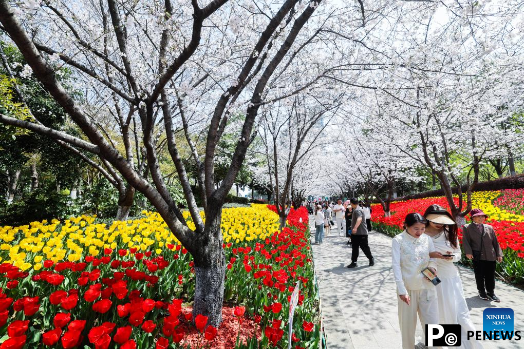 Spring scenery of east China