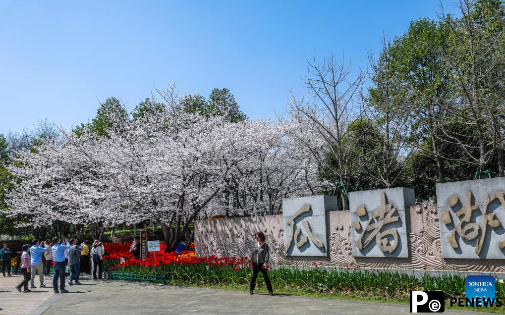 Spring scenery of east China