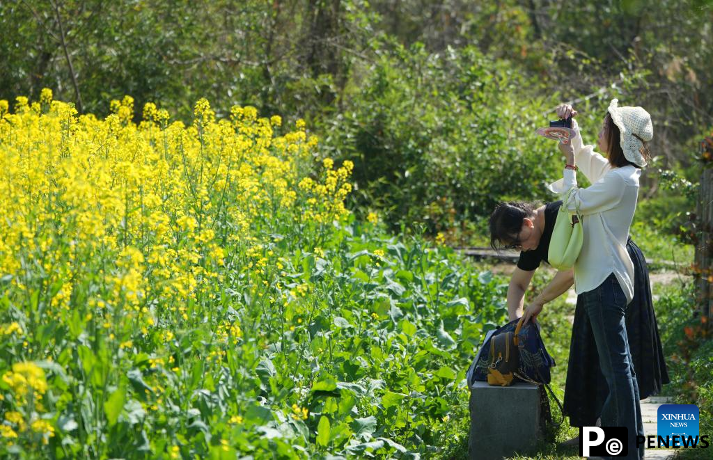Spring scenery of east China