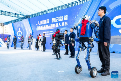 China's Hubei promotes development of humanoid robot industry