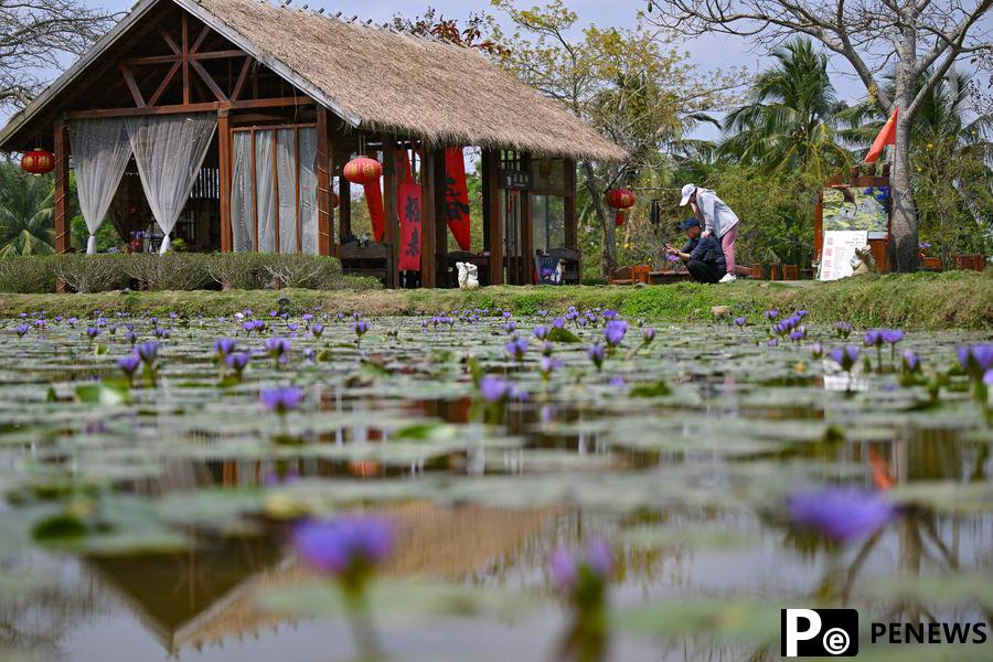 Spring tourism reflects the economy vitality across China