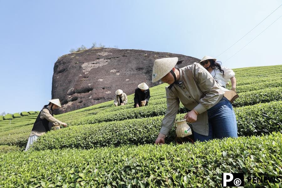 Spring tourism reflects the economy vitality across China