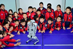 Will AI replace human jobs? A new look at the debate