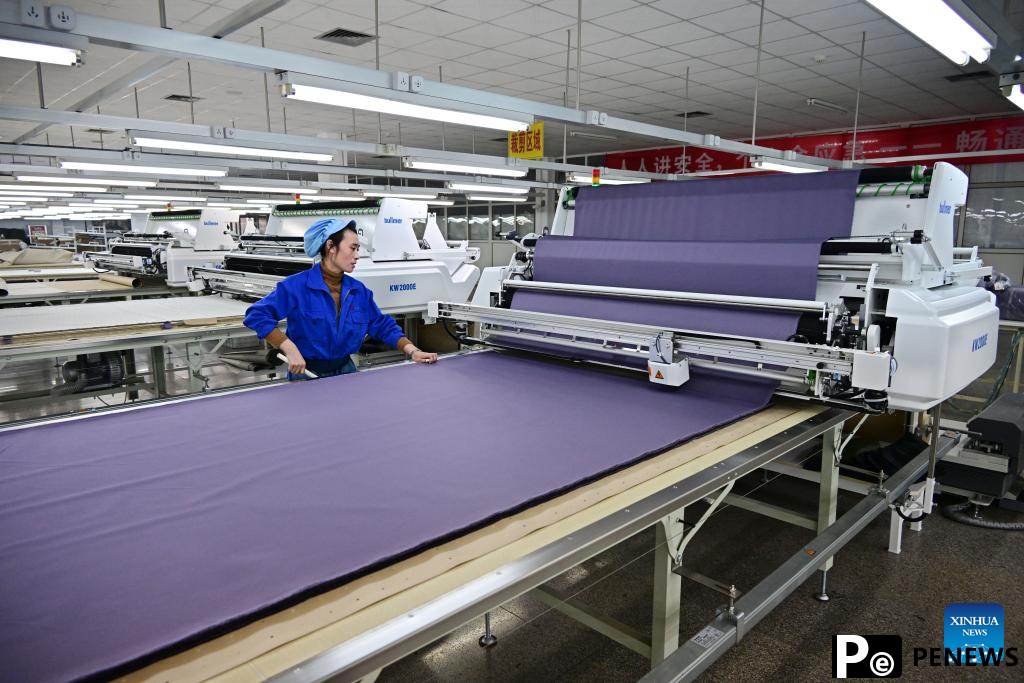 Jimo District of Qingdao City promotes sustainable quality development of textile, garment industry