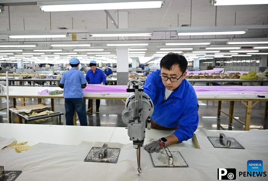 Jimo District of Qingdao City promotes sustainable quality development of textile, garment industry