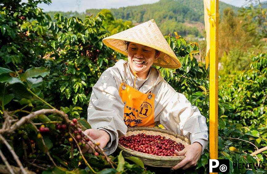 From Yunnan to the world: how China