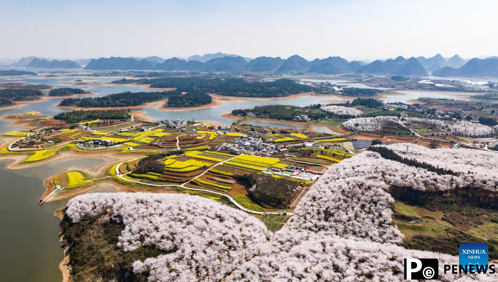 View of cherry blossoms in Gui