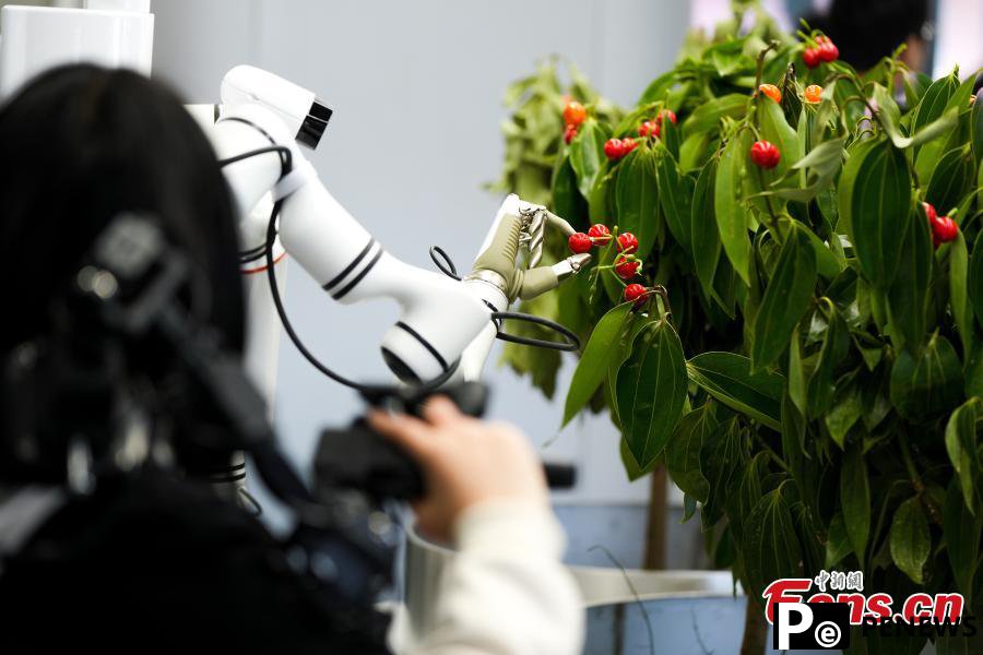 A close look at humanoid robot innovation center in Beijing