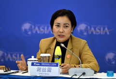 Financial roudtable held during Boao forum 2025