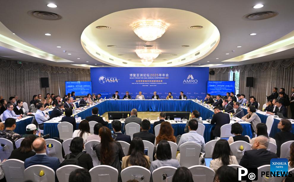 Financial roudtable held during Boao forum 2025