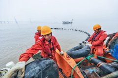Commentary: China constructs, protects submarine cable system in inclusive internet quest