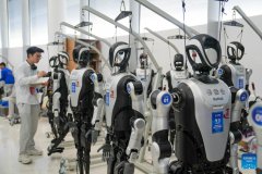 Foreign experts laud the future of humanoid robots, confident of China’s robot industry growth prospects at Beijing forum
