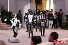 Humanoid robot volunteers shine at 2025 Zhongguancun Forum