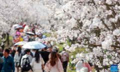 China’s immigration authority forecasts 2.1million passenger border crossings during upcoming Qingming holiday