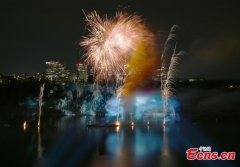 'Earth to Space' art festival illuminates night sky in Washington