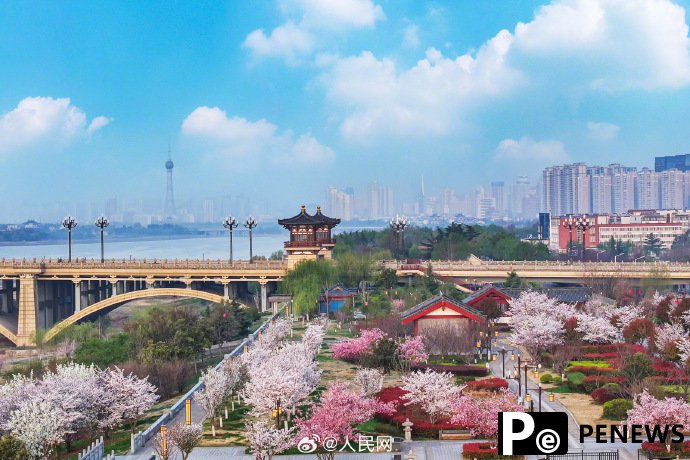 In pics: Flowers bloom in Luoyang, C China