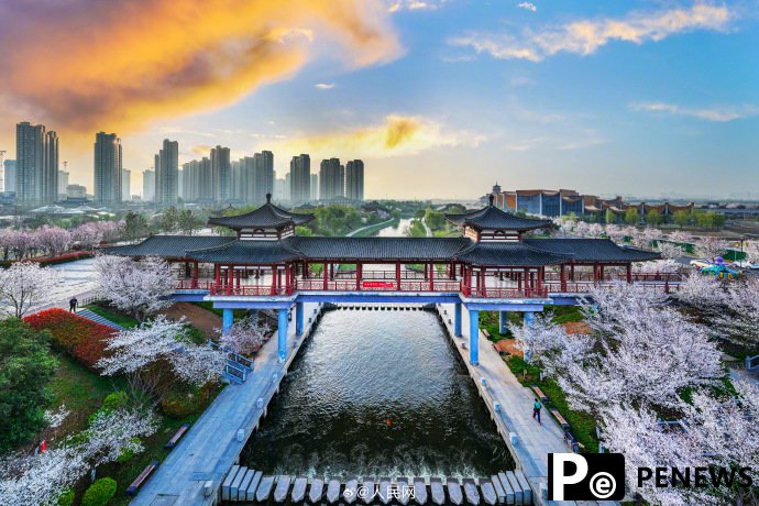 In pics: Flowers bloom in Luoyang, C China