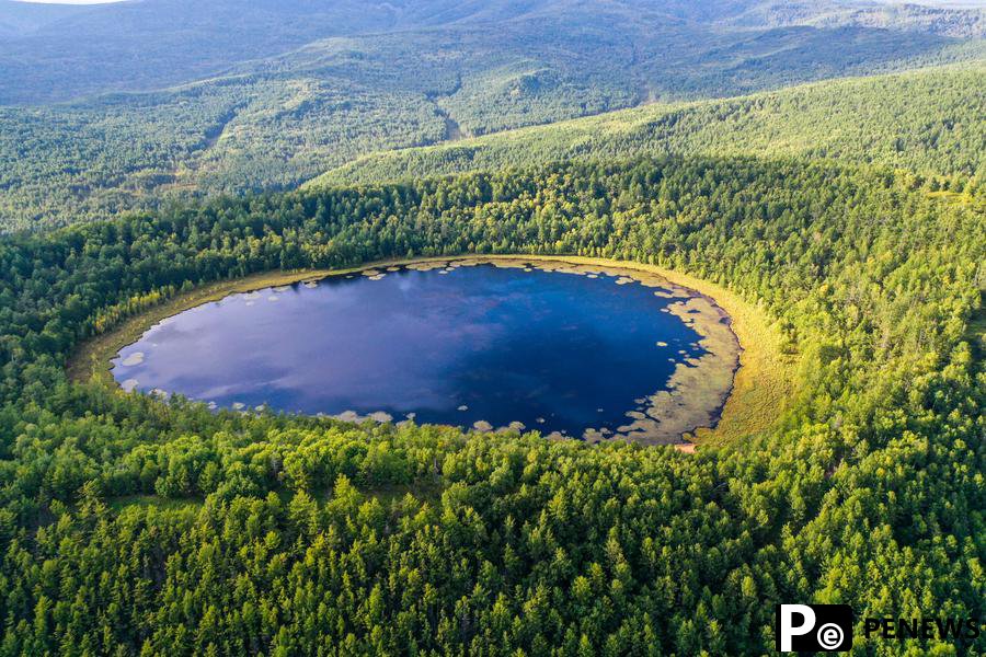 China reinforcing logging ban in sustainable forestry quest