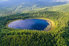 China reinforcing logging ban in sustainable forestry quest