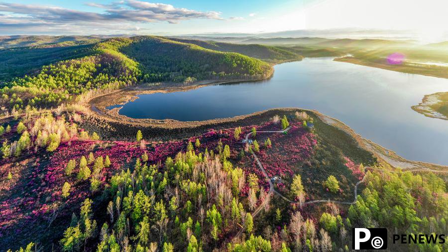 China reinforcing logging ban in sustainable forestry quest