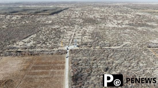 Chinese scientist turns desert into oasis, boosts rural economy in NW China