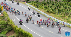 Cyclists compete during Stage 2 at 16th Tour of Hainan cycling race