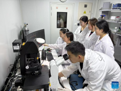 Chinese scientists discover natural compound to inhibit liver cancer growth