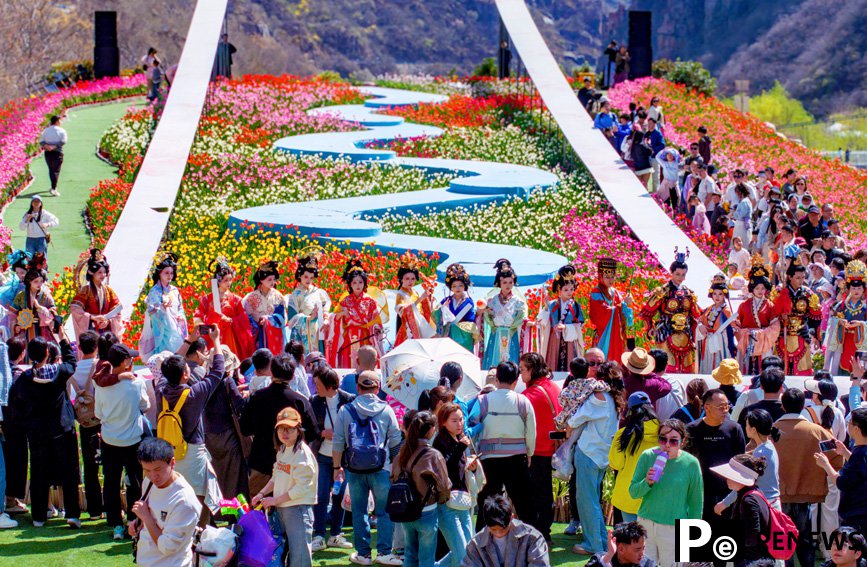 Millions of tulips in full bloom in Henan, C China