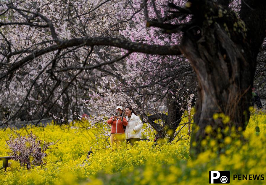 Nyingchi in SW China