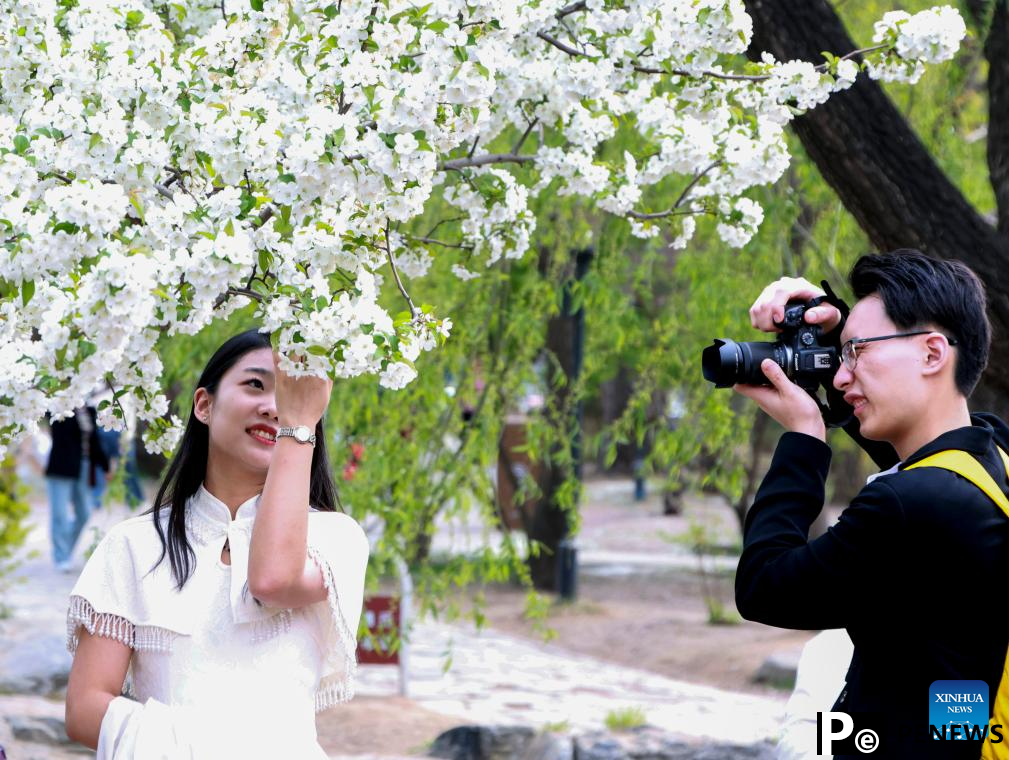 Photography enthusiasts capture spring scenery with smartphones and cameras in Beijing