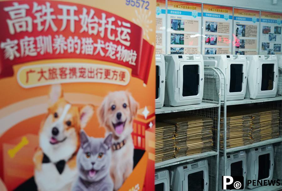 Furry companions ride high-speed rails as China expands pet travel options