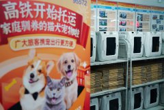 Furry companions ride high-speed rails as China expands pet travel options