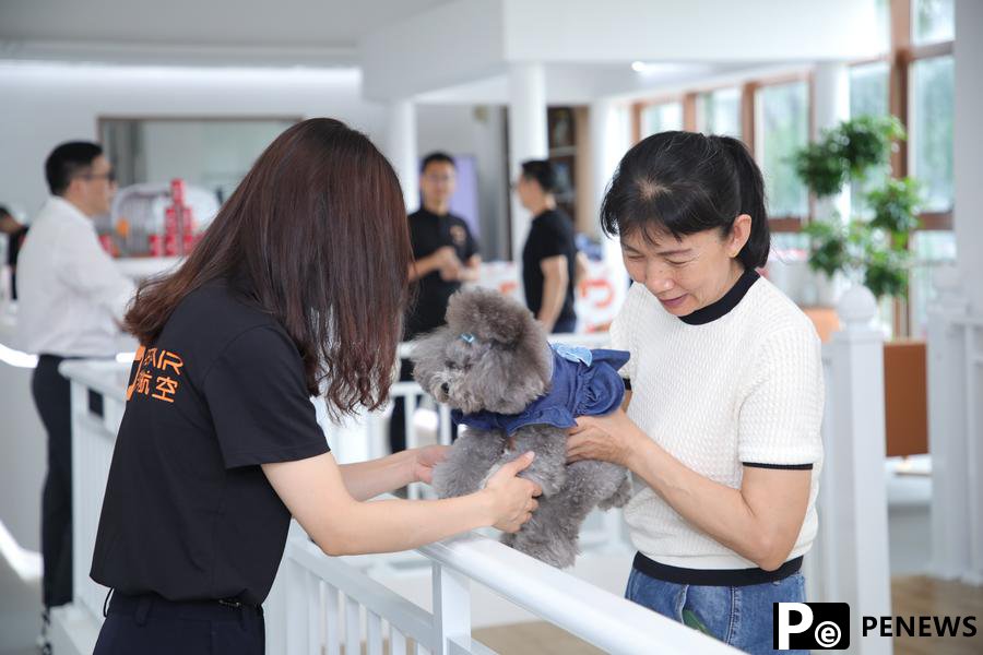 Furry companions ride high-speed rails as China expands pet travel options