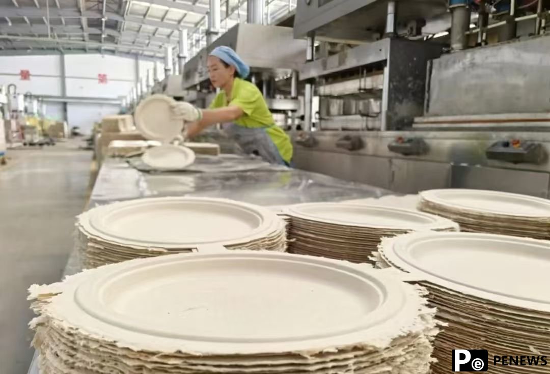 friendly tableware made from bagasse in SW China