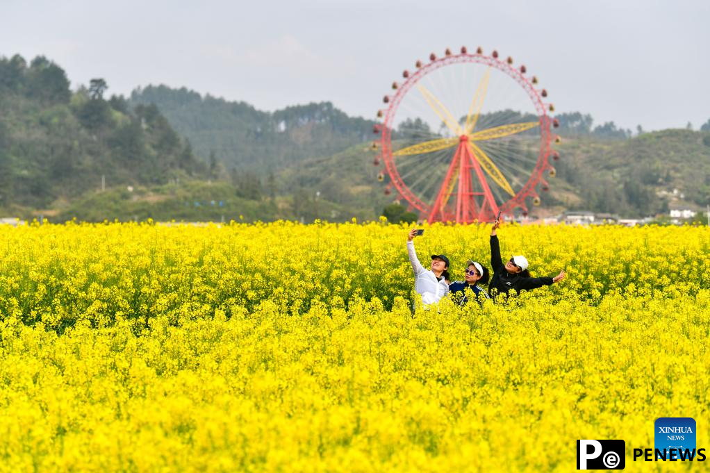 Blooming flowers boost rural tourism of Guiding County, SW China