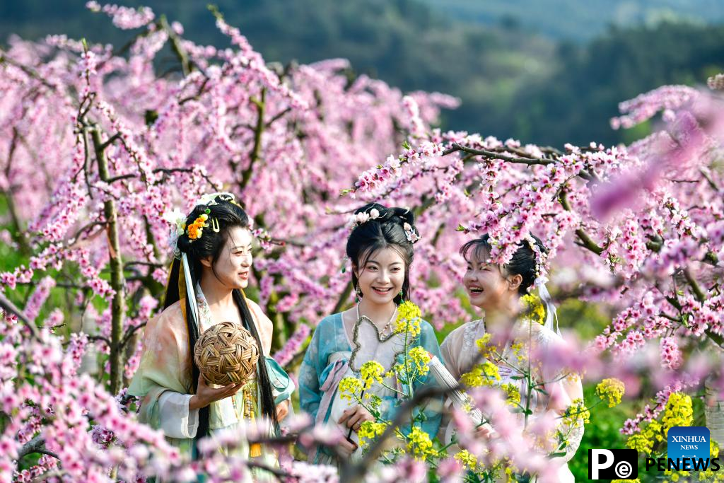 Blooming flowers boost rural tourism of Guiding County, SW China