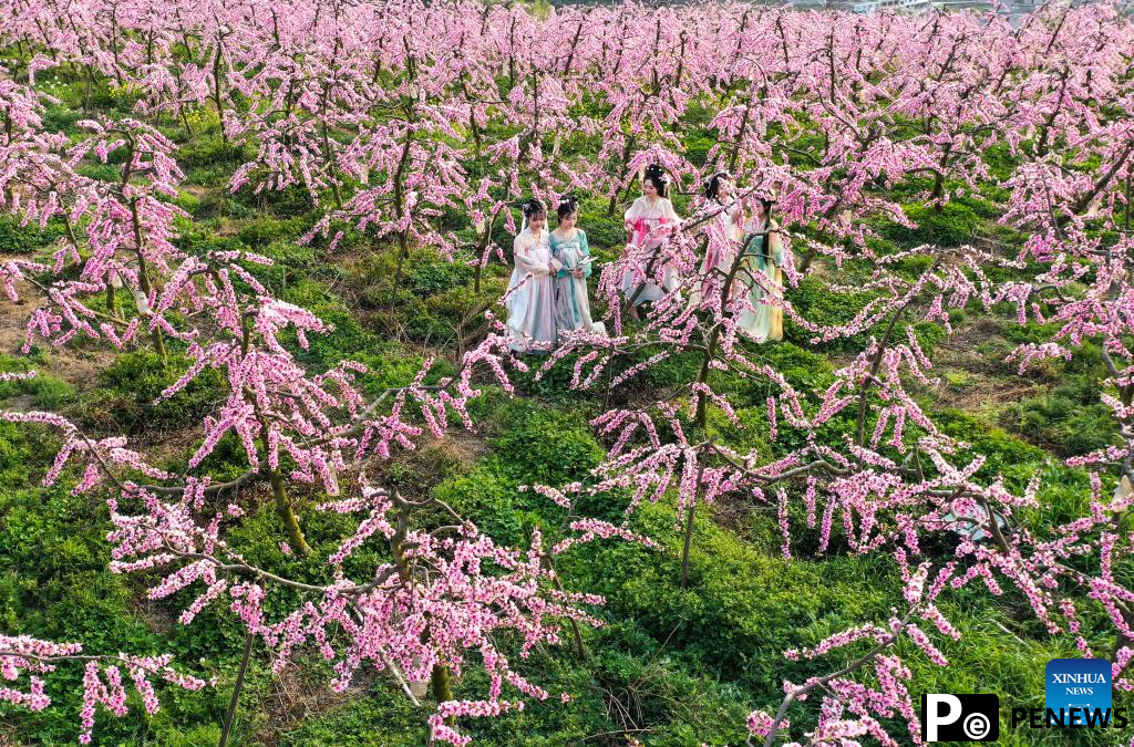 Blooming flowers boost rural tourism of Guiding County, SW China