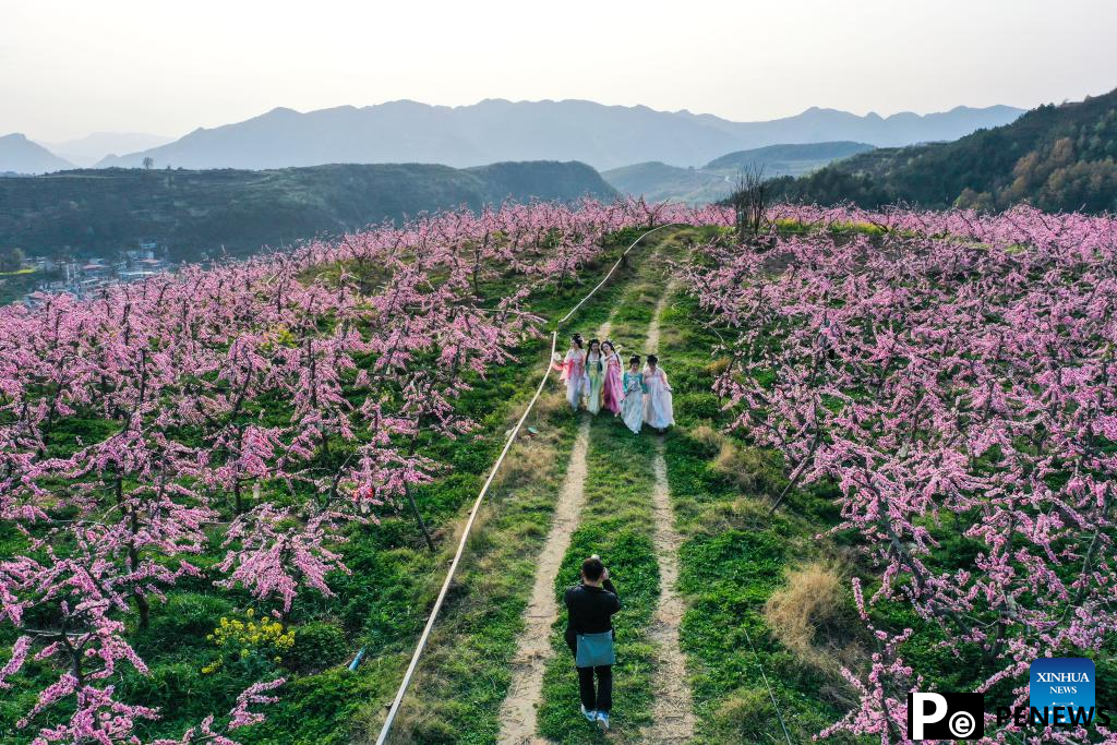 Blooming flowers boost rural tourism of Guiding County, SW China
