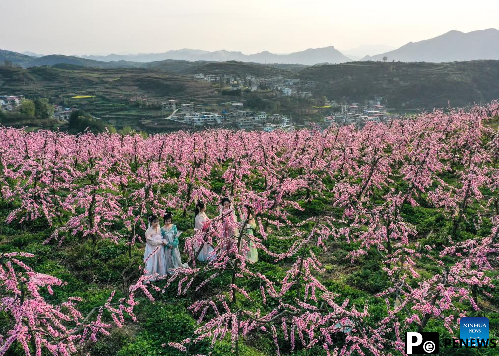 Blooming flowers boost rural tourism of Guiding County, SW China