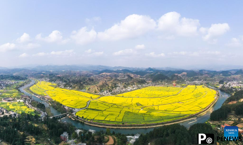 Blooming flowers boost rural tourism of Guiding County, SW China