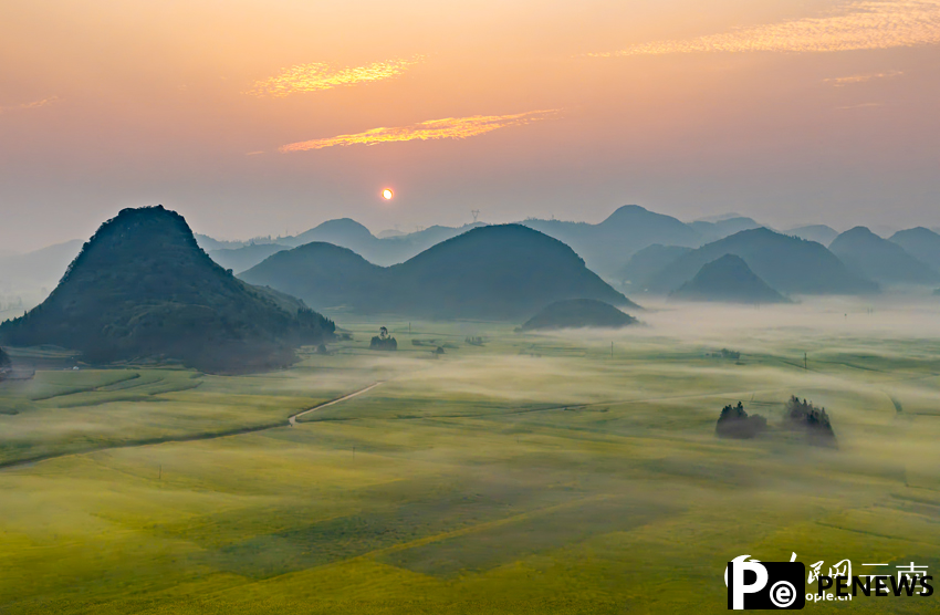 Vast rapeseed fields emerge from morning mist in SW China