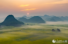 Vast rapeseed fields emerge from morning mist in SW China's Yunnan