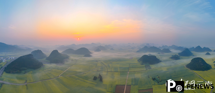 Vast rapeseed fields emerge from morning mist in SW China