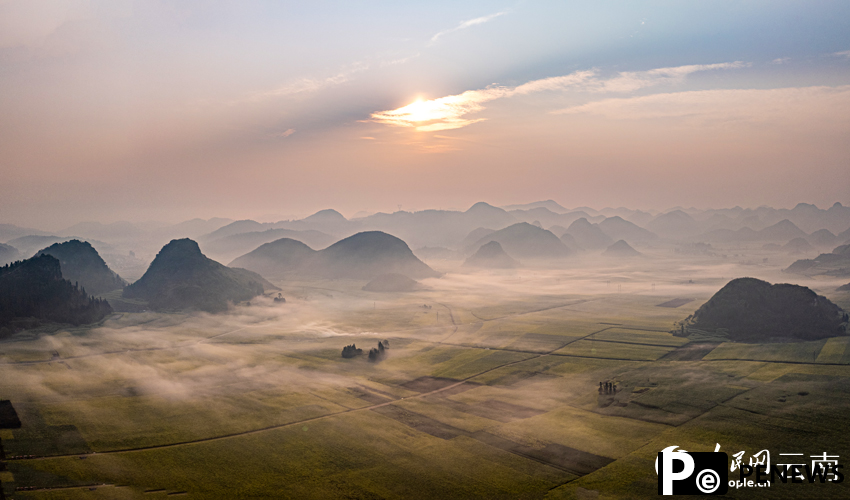 Vast rapeseed fields emerge from morning mist in SW China